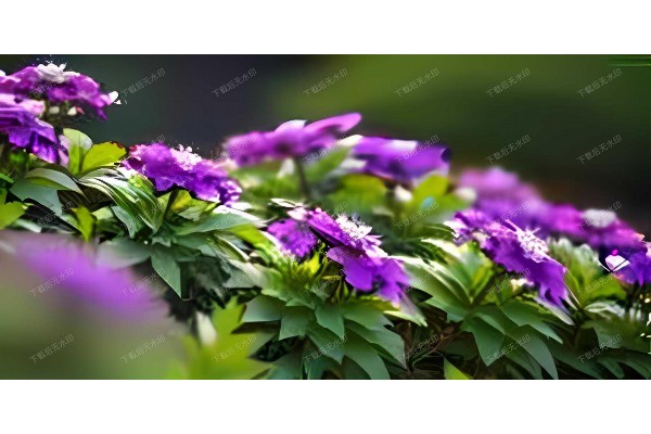 湖光山色里，武汉小情侣桑拿乐翻天！